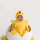 (주)두두와