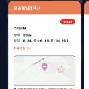 [원주/유알풀빌라] 원주 독채 펜션, 유알풀빌라 스위트M