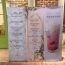 놀.라움(NOL.LAUM)