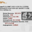 팜라이프 이미지