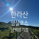 영실물 | 한라산 윗세오름 영실코스 오백장군과 까마귀주차장추천 남벽분기점까지 다녀온 등산후기