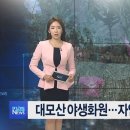 강남화원 이미지