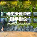 속초아이와가볼만한곳 수족관카페 아쿠아숲 속초