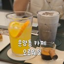 오렌지웨일 | 운양동 카페 오로웨일 오렌지카노 흑임자라떼 내돈내산 후기