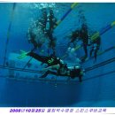 올림픽수영장 Daum카페