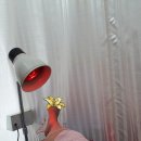 경희일이삼한의원 이미지