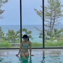 파인리조트 | 강릉 호텔 라카이 샌드파인 리조트 가든패밀리 룸 숙박 수영장 이용 후기