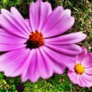 종인유치원 이미지