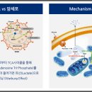 셀젠바이오 - 연제구 월드컵대로119번길 8 | 셀젠바이오