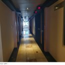 새미래트윈스 이미지