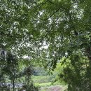 구화산바베큐