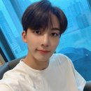 쿱스 이미지