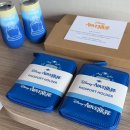 오션PC | 싱가포르 디즈니 크루즈 디럭스 오션뷰 객실 탑승 후기, 일정 가격 / 싱가폴 호텔 1박 제공