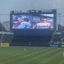 (주)진성에이스 | 240811 LG트윈스 | 채이 아버지, 하드캐리해✨