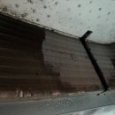 더원결혼정보주식회사 | 대전 둔산동 결혼정보회사 청소