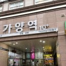 가양역치킨 :: 빅토리 전기구이 가양점 :: 강서구통닭 맛집 마늘구이 솔직후기