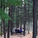 경춘선솔밭길 이미지