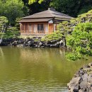 일본 도쿄 정원답사 2024 (15) - (2024.6.8) 하마리큐 은사정원(浜離宮 恩賜庭園) 이미지