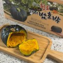 해남군밤호박 | 임산부 간식 고민 해결! 촉촉하고 달달한 해남 미니 밤호박 솔직 후기