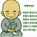 연못155 이미지