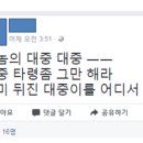 &#34;뒤진 대중이..&#34; 제주 출신 정의당 대의원 막말 &#39;논란&#39; 이미지