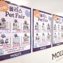 몰리스 죽전점 이미지