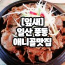 잎새바람 | 쌈밥정식이 맛있는 일산풍동 애니골 맛집 [잎새](내돈내산)