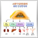 닥터리연합내과의원 | 천연약방 자생의원! 웃음은 운동이다♥웃음 뇌파진동 반응 측정 결과 나타난 신비로운 효과!
