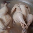 소주삼계탕