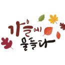 초당황토민박 이미지