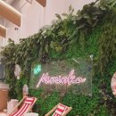 카페미밍코 이미지