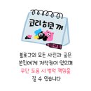 내 차를 믿고 맡길 수 있는 천호동 손세차 전문샵 디스팟