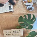 보리수카페 - 태백시 장성1길 190 | 보리수카페