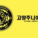 고양주니어FC 선수모집⚽️ 차범근 축구상 수상 이미지