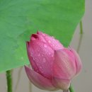 한국농업연수원