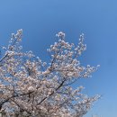 김동하필라테스