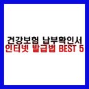 인터넷 피씨방 | 건강보험 납부확인서 인터넷 발급법 BEST 5 총정리 (모바일, 정부24, 프린터, 자주묻는질문, 후기)