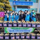 양사면-1 이미지
