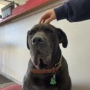 바보철물점 이미지