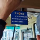 3081 | 23.12.19 중국남방항공 CZ3081 A359 광저우 - 방콕 수완나품 일반석 후기