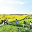 군유 농장 이미지