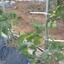 세희농장 이미지