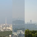 아마존 꽃 식물원 | 생존 일기 안 하던 거 하기(도시락, 등산, 식물, 필라테스)