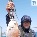 바다친구 이미지