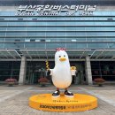 부산종합터미널 이미지