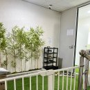 뿡뿡애견호텔 이미지