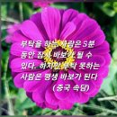 지혜로운 생활 이미지