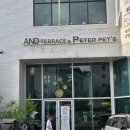 피터펫 | 고양 애견동반카페 펫부스PETBOOTH피터펫츠내유점 젤리샷 후기