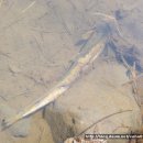 산수황토방 이미지