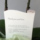 연두꽃집